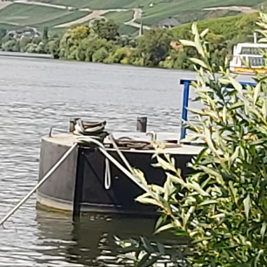 Kleine Altstadt Oase Lejlighed Bernkastel-Kues Eksteriør billede